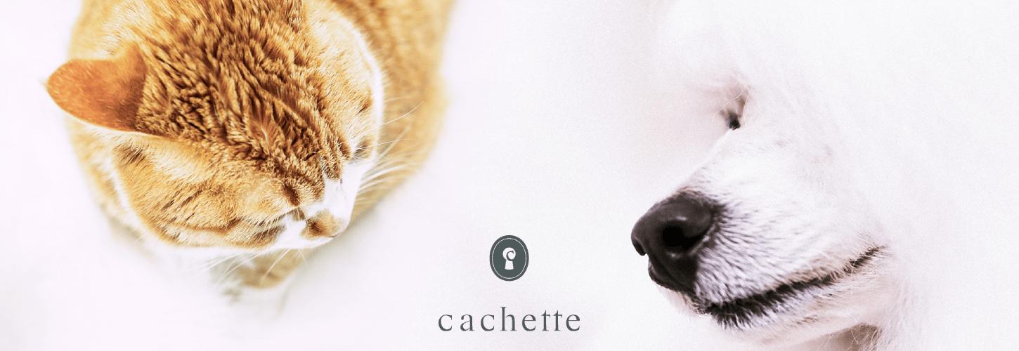 インフルエンサーマネジメント